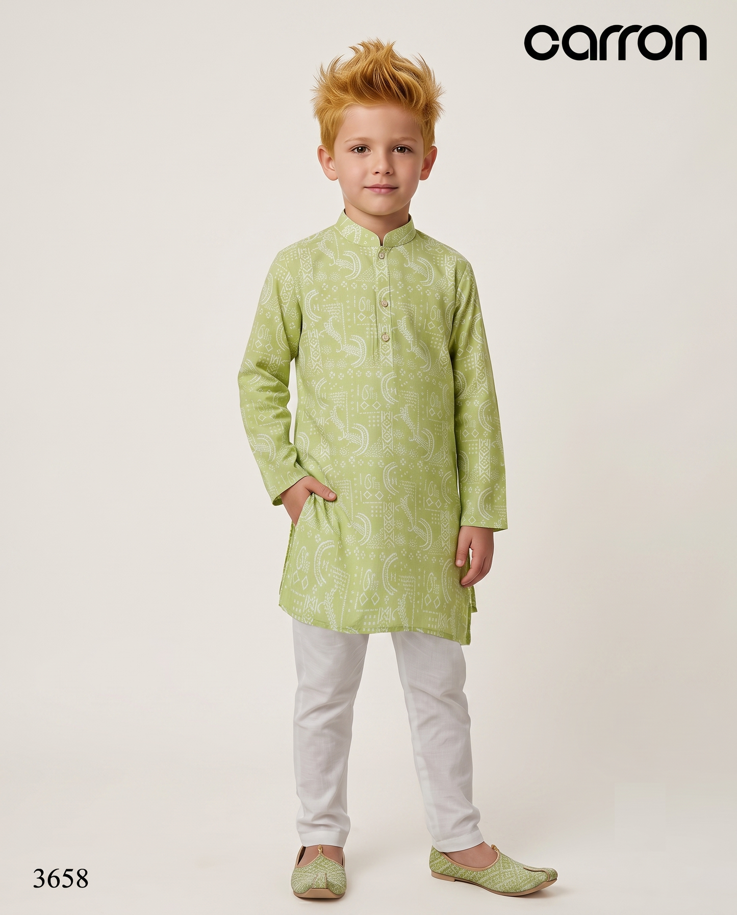 Light Green Colour Kurta Set(BE-BKUS_3658)
