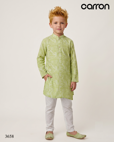 Light Green Colour Kurta Set(BE-BKUS_3658)
