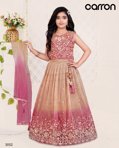 Rani Colour Ghaghra Choli(GE-GGHC_3052)