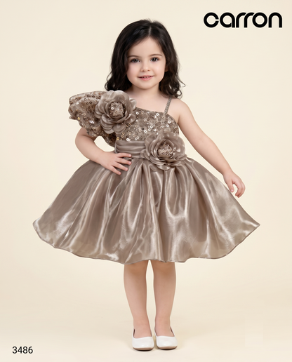 Champagne Colour Party Colour(GE-GFRP_3486)