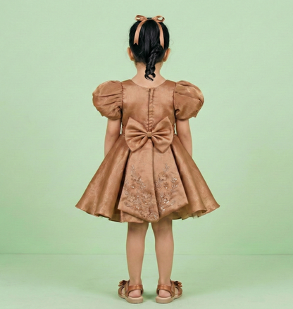Chickoo Colour Party Frock(GE-GFRP_9285)