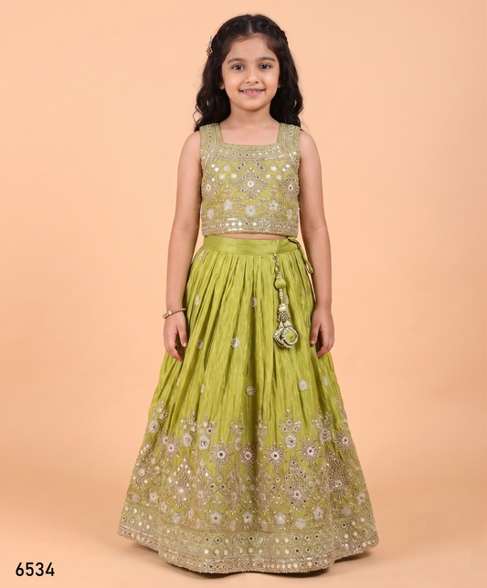 Green Colour Ghaghra Choli(GE-GGHC_6534)
