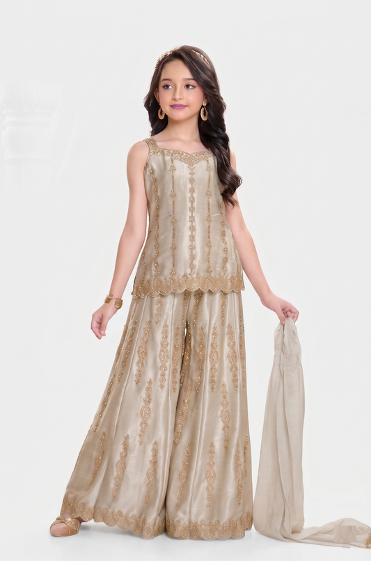 Grey Colour Plazo Set(GE-GPZS_4948)