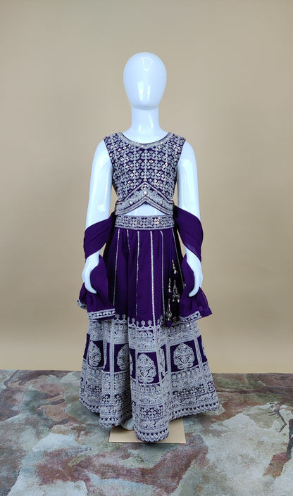 Purple Colour Ghaghra Choli(GE-GGHC_1062)