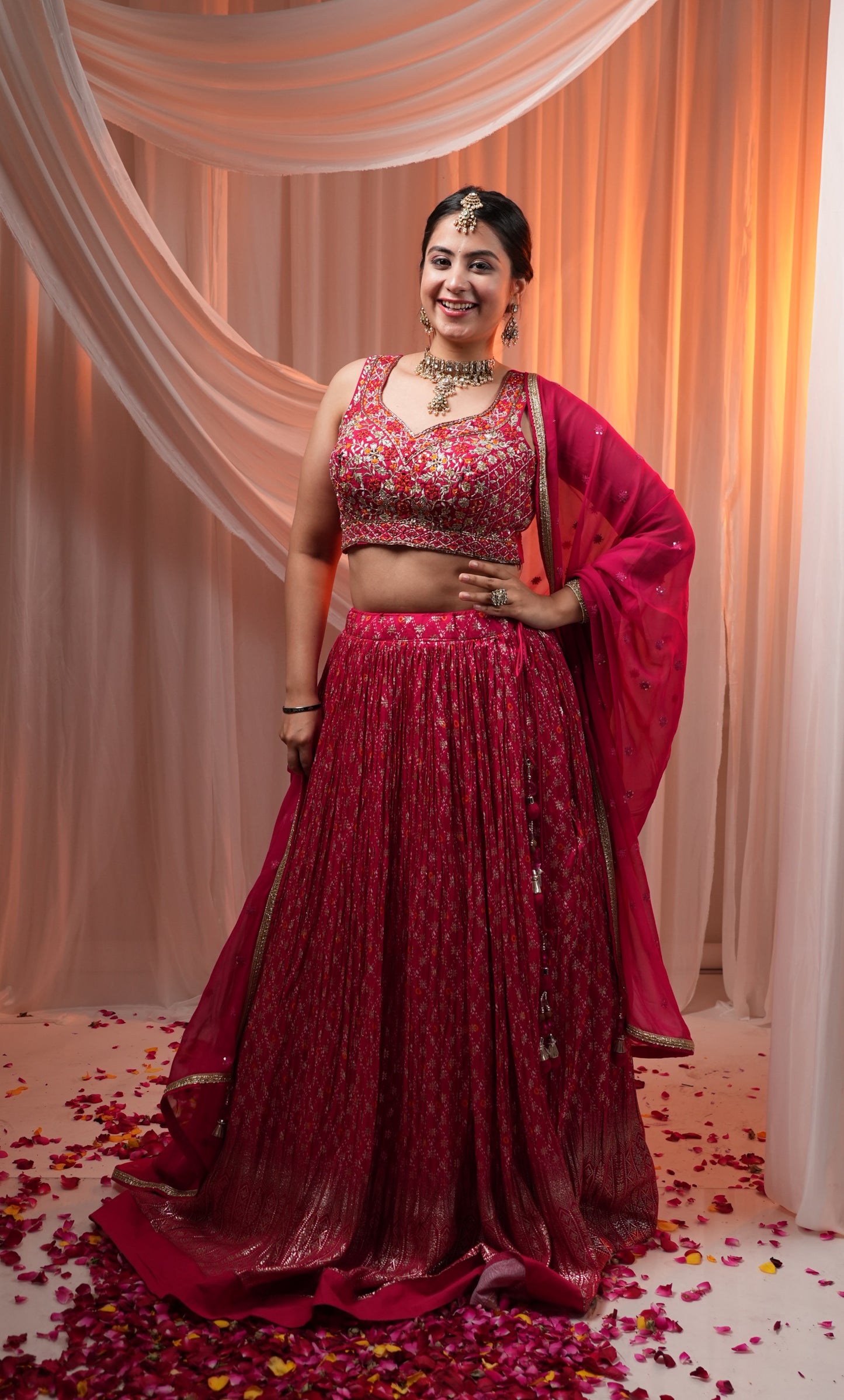 Rani Colour Ghaghra Choli(LE-WGHC_3436)